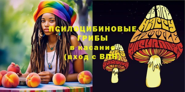 дурь Абинск