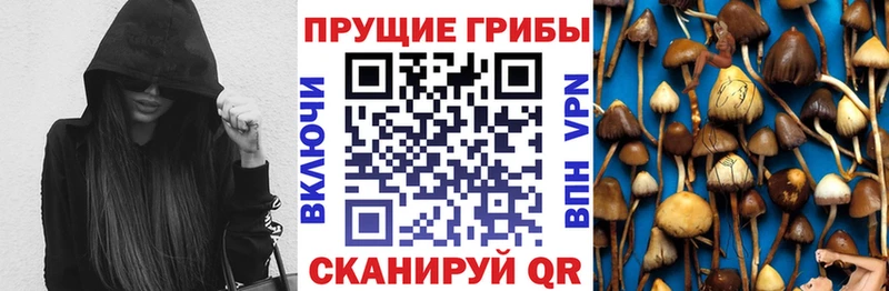 Псилоцибиновые грибы мухоморы  Иваново 